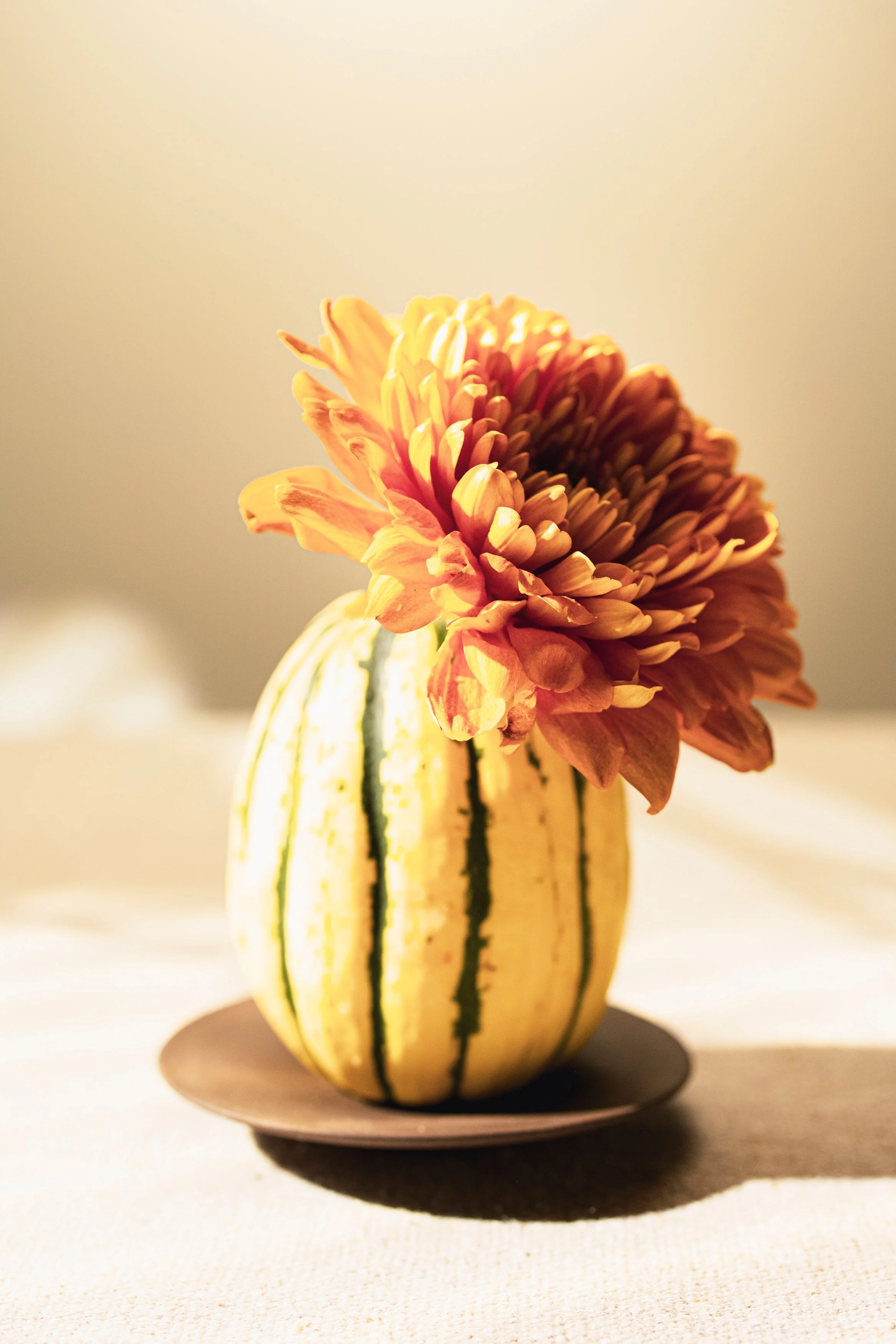 Mes carnets de saison : automne-hiver - Image 3